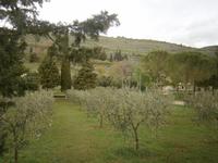 Umbrische Landschaft Spello