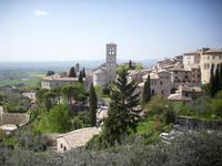 Blick auf Assisi