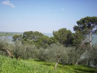 Ausblick auf den Lago del Trasimeno