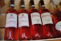 Bardolino-Wein  ein Spezialität am südlichen Gardasee