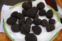 Trüffel aus der Region - Markttag in Castiglione del Lago