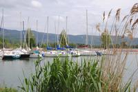 Trasimenosee - Abfahrthafen in Tuoro