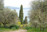 Blick auf den See vom höchsten Punkt der Insel