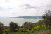 Blick auf den See vom höchsten Punkt der Insel