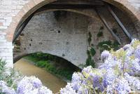 Brücke über den umgelegten Camignano