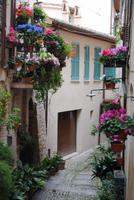 Wettbewerbe unter den Straßen von Spello - Fronleichnam mit Blumenteppichen