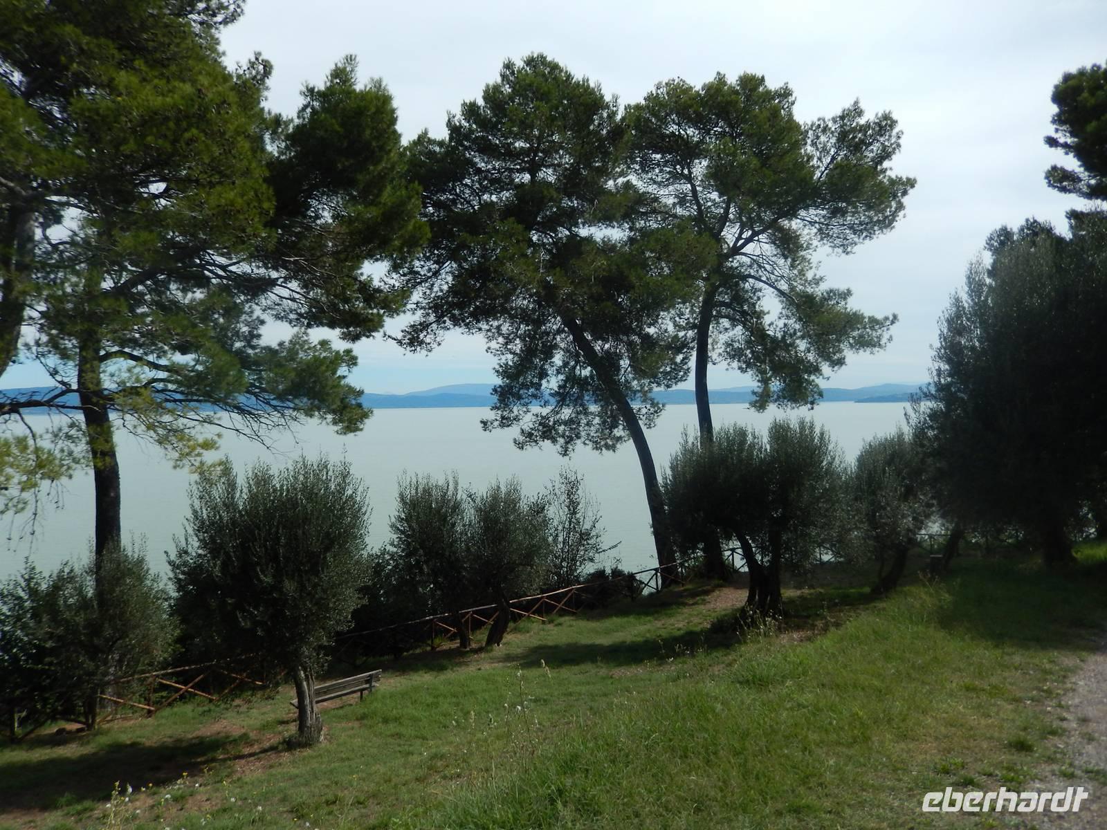 am Trasimenosee