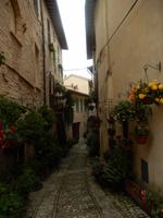 blumengeschmückte Gasse