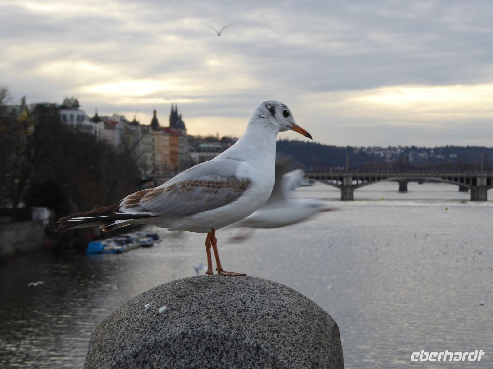 04 Chechuv Brücke - Wächter