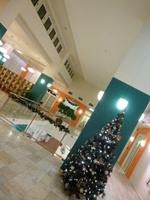 Bibliothek im Hotel Sanssouci, Karlsbad