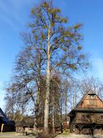 Walachisches Freilichtmuseum