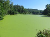 Böhmisches Paradies bei Burg Kost