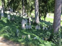 Trebic jüdischer Friedhof