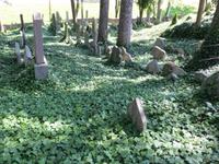 Trebic jüdischer Friedhof