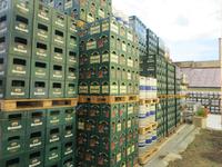 Bernard Brauerei Humpolec