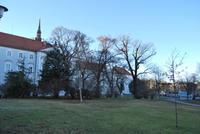 Stadtrundgang Brüno