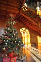 Weihnachtsbaum im Schloss