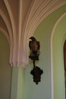 Greifvogel im Schloss Lednice