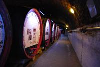 Tempel-Ritter Weinkeller