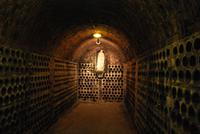 Tempel-Ritter Weinkeller