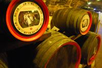 Fässer im Tempel-Ritter Weinkeller