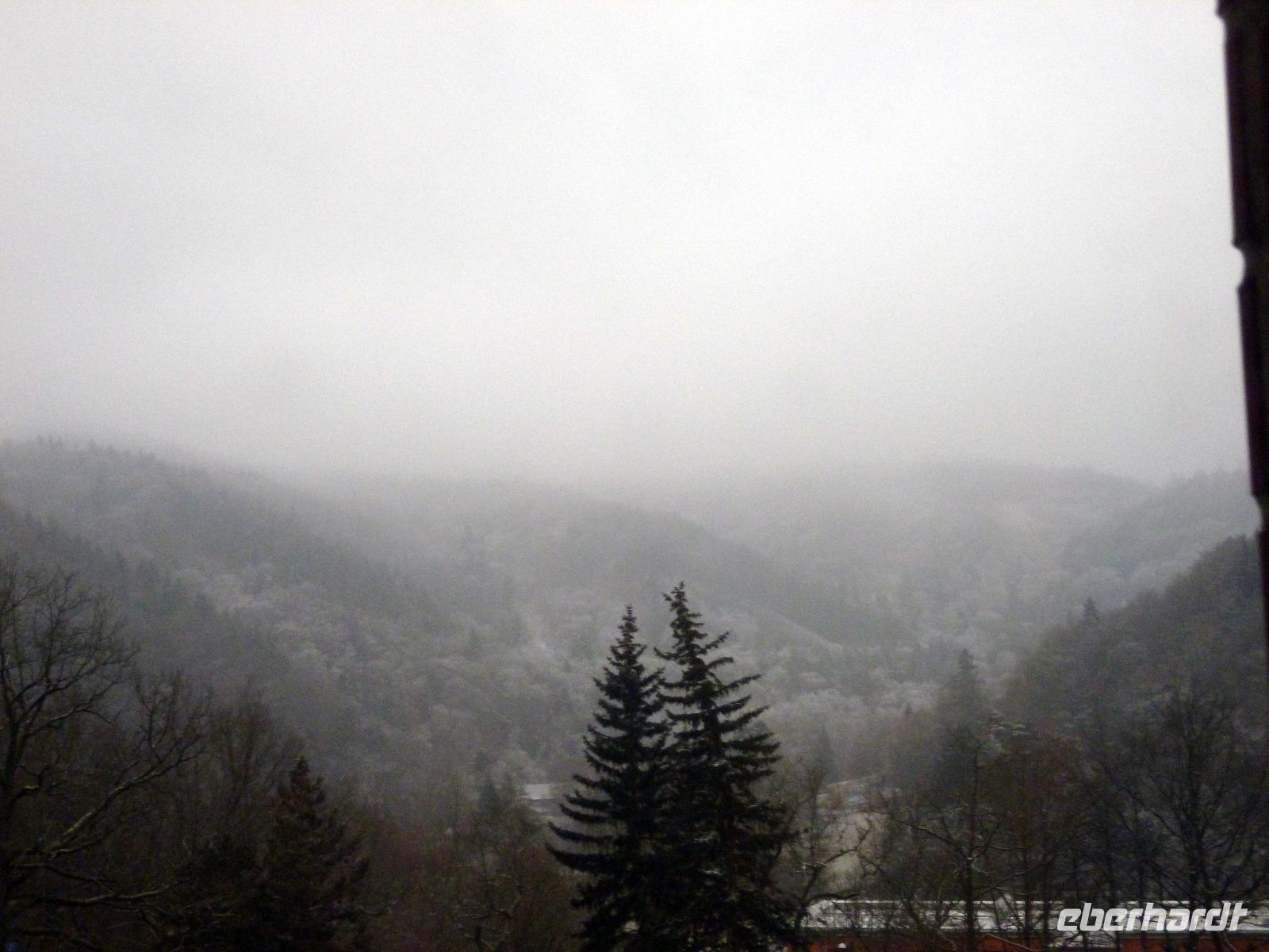 Blick aus dem Hotel auf das Teplatal