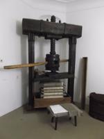 in der Papiermühle in Velké Losiny