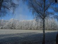 Fahrt durch Südböhmen