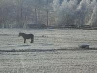 Fahrt durch Südböhmen
