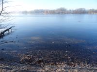 der Teich von Hluboká