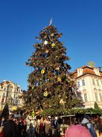 Weihnachtsbaum am Altstädter Ring