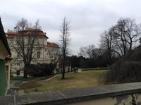 Blick in den Garten der deutschen Bootschaft