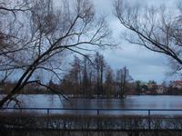 DSCN2375 Teich Maly Vajgar an der Stadt Neuhaus
