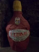 DSCN2418  Ludmilla Wein