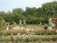 auf dem Petri Hügel