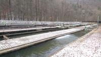 Wuchsbecken der Forellenaufzuchtstation