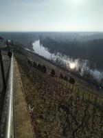 Zusammenfluß von Elbe und Moldau in Melnik