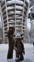 Tschechische Republik, Riesengebirge, Janske Lazne, Turm am Baumwipfelpfad