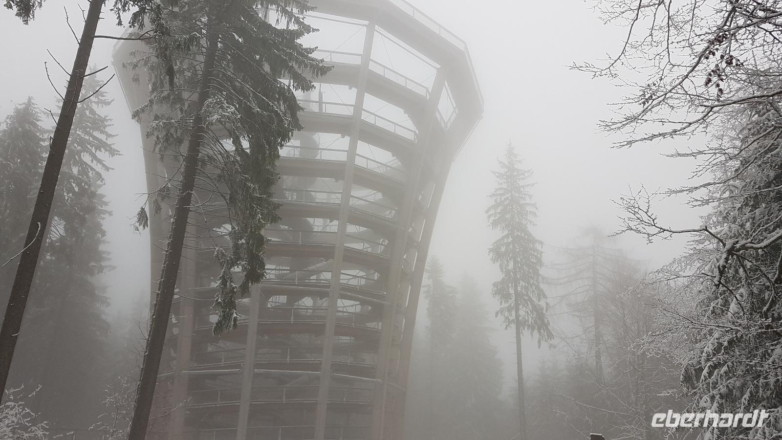 Tschechische Republik, Riesengebirge, Janske Lazne, Wanderung zum Baumwipfelpfad