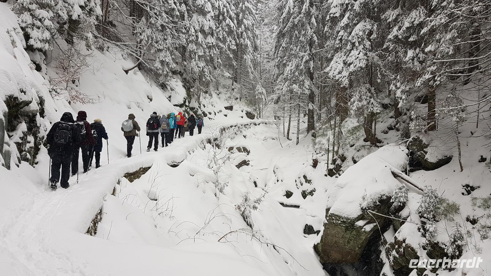 Tschechische Republik, Riesengebirge, Janske Lazne, Wanderung im Schwarzenbachtal