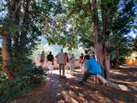 Städtereise Prag - Blick zur Prager Burg mit Veitsdom
