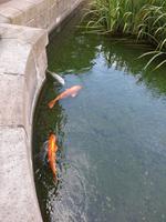 Städtereise Prag - Wallenstein Garten