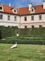 Städtereise Prag - Wallenstein Garten