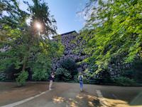 Städtereise Prag - Die Grotte im Wallenstein Garten