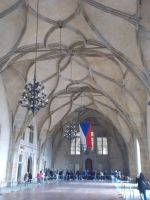 DSCN6866.JPG   großer Saal, altes Schloss