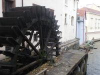 DSCN6925.JPG   Mühlgraben mit Wassermann