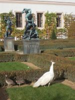 DSCN6939.JPG  Wallenstein Gärten