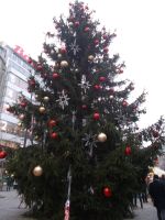 DSCN6985.JPG  direkt vorm Hotel