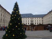 DSCN7011.JPG    Burghof