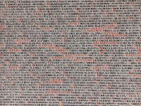 Pinkas Synagoge, 78.000 Namen von Holocaust-Opfern angeschrieben